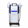Effective Body Sculpting Machines | Leading Spa Equipment Manufacturer ...